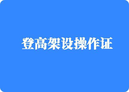 搞逼正在播放视频登高架设操作证